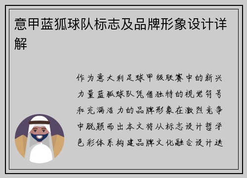 意甲蓝狐球队标志及品牌形象设计详解